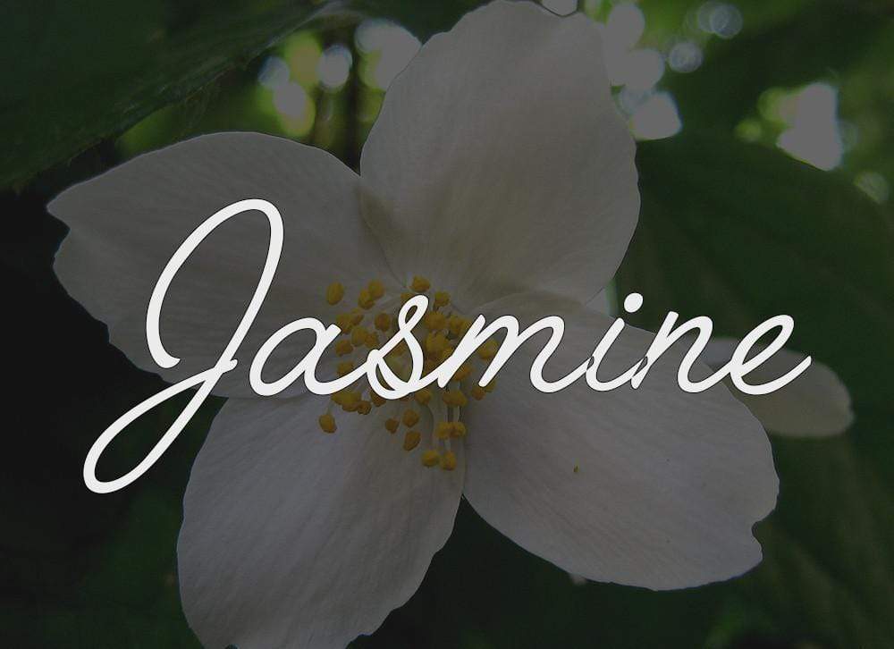 Jasmine