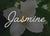 Jasmine